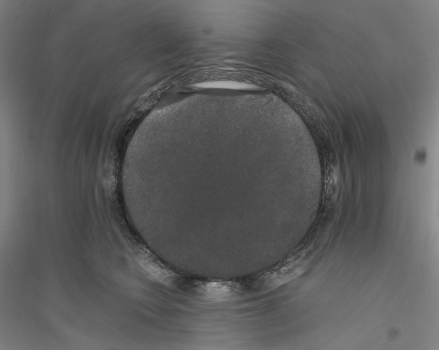 X0000116860566201002021109