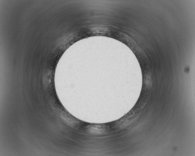 X0000116860567201002021109