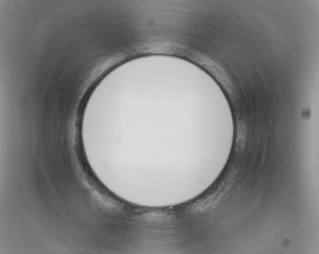 X0000116860578201002021108