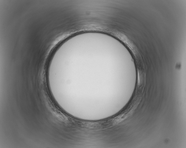 X0000116860579201002021108