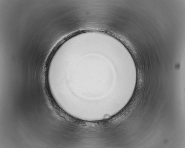 X0000116860580201002021108