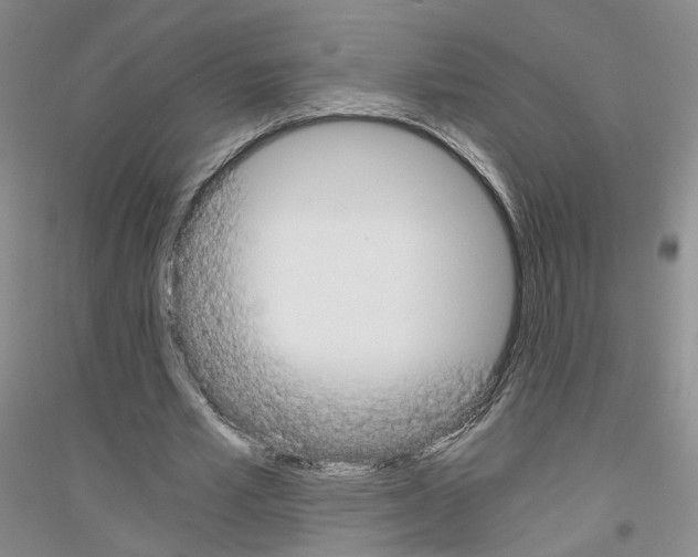 X0000116860581201002021108