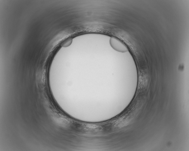 X0000116860583201002021108