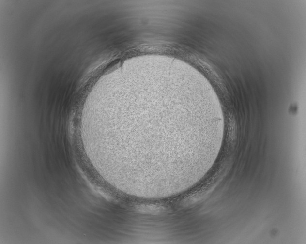 X0000116860586201002021108