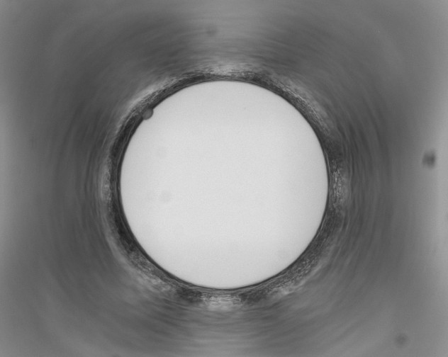 X0000116860587201002021108