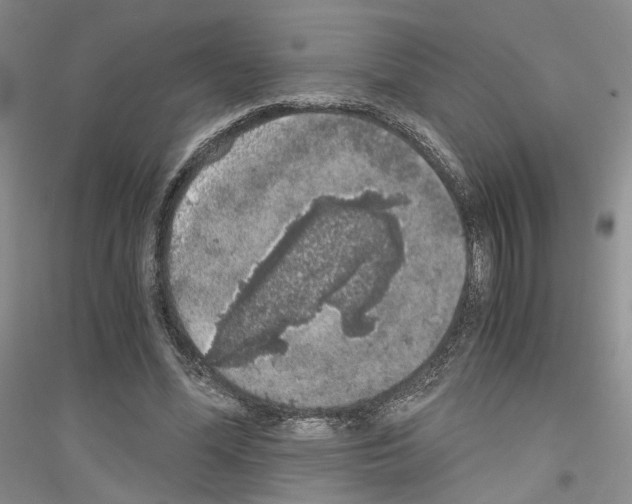 X0000116860588201002021108