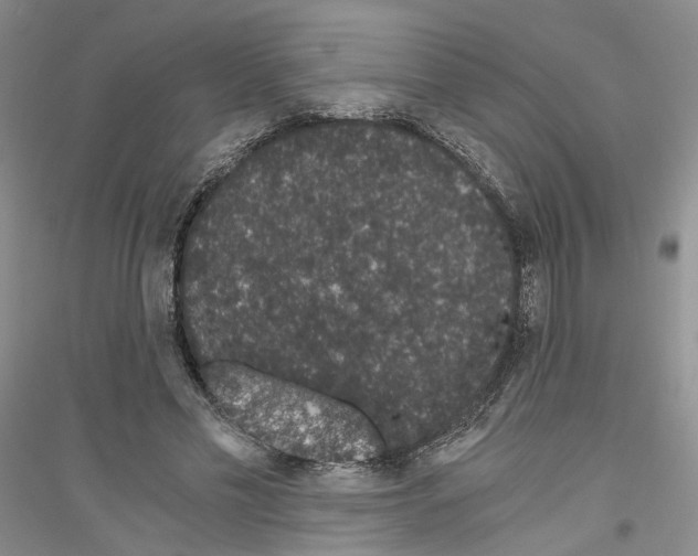 X0000116860589201002021108