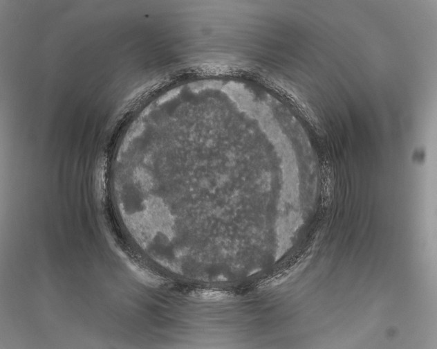 X0000116860590201002021108