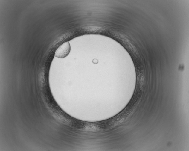 X0000116860591201002021108