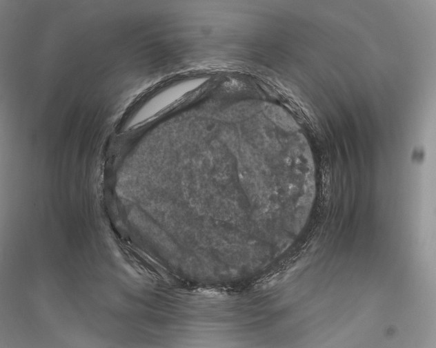 X0000116860592201002021108