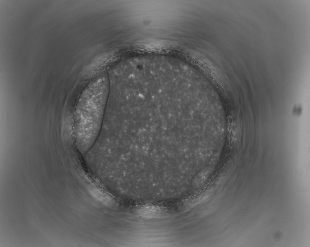 X0000116860593201002021108