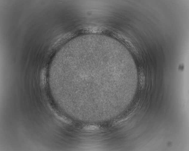 X0000116860594201002021108