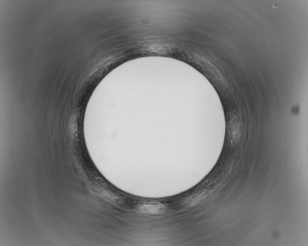 X0000116860595201002021108