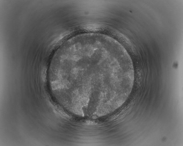 X0000116860596201002021108