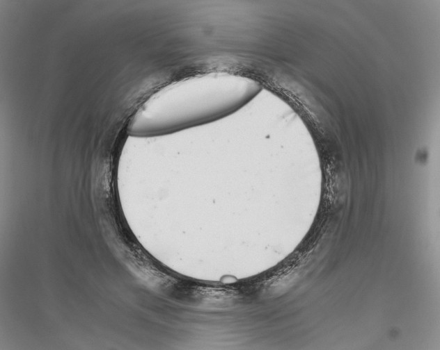 X0000116860597201002021108