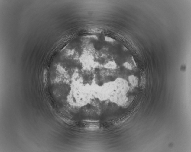 X0000116860598201002021108