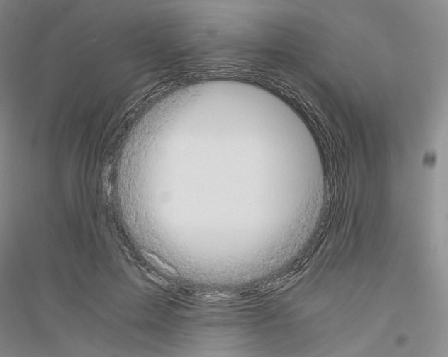 X0000116860599201002021108