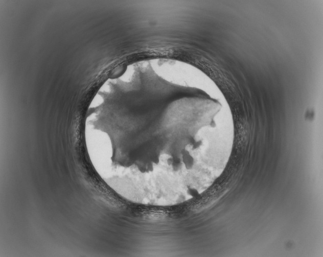 X0000116860600201002021108