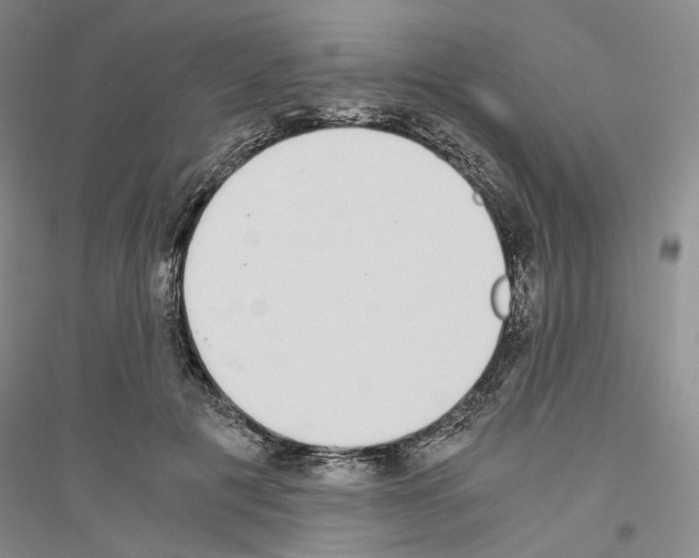 X0000116860601201002021108