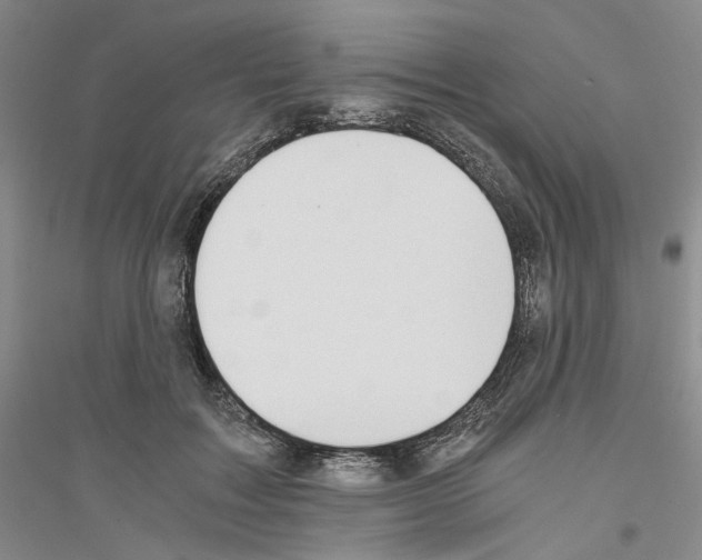 X0000116860603201002021108