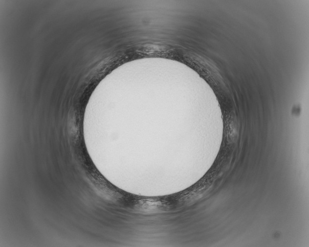 X0000116860607201002021108