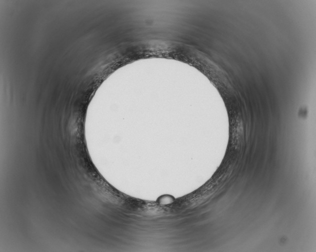 X0000116860608201002021108