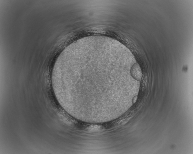 X0000116860609201002021108