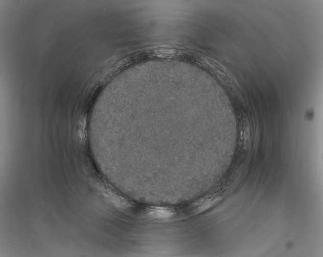 X0000116860610201002021108