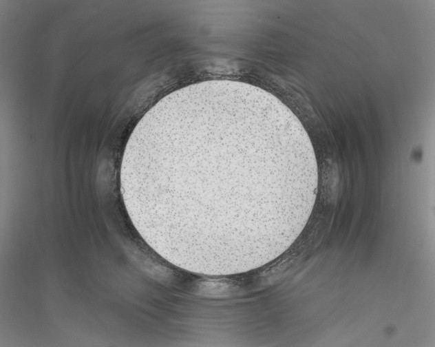 X0000116860614201002021108