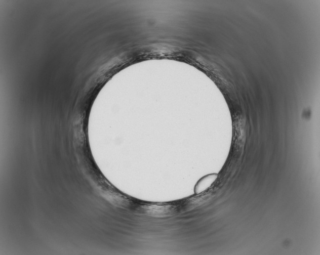 X0000116860615201002021107