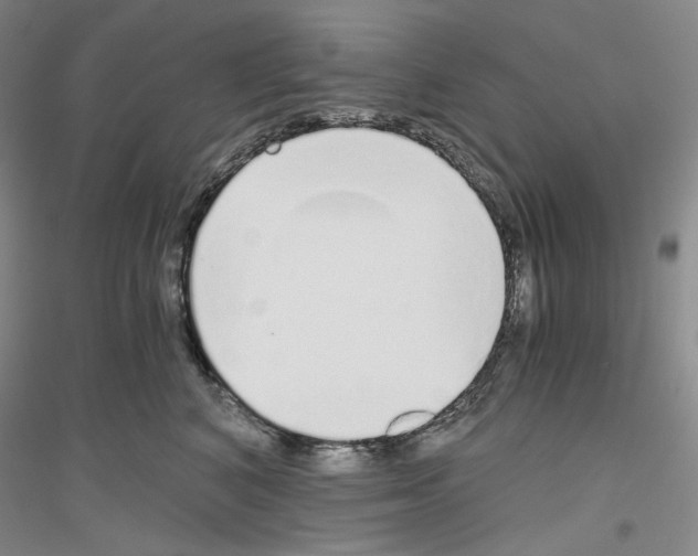 X0000116860616201002021107