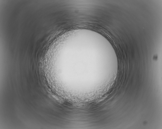 X0000116860617201002021107