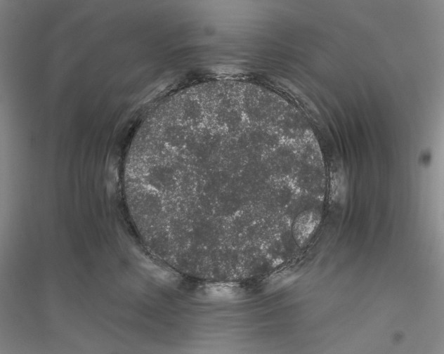 X0000116860618201002021107