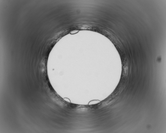 X0000116860620201002021107