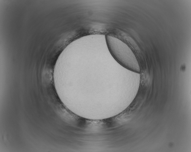 X0000116860621201002021107