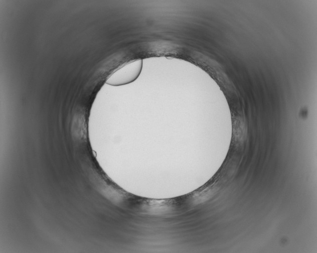 X0000116860622201002021107