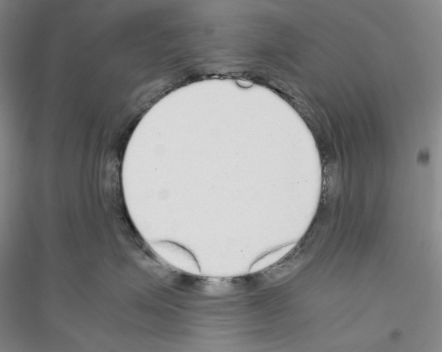 X0000116860623201002021107