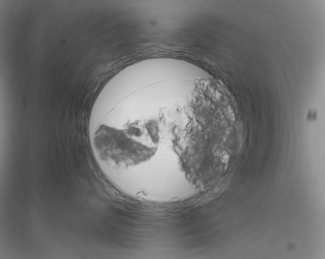 X0000116860624201002021107