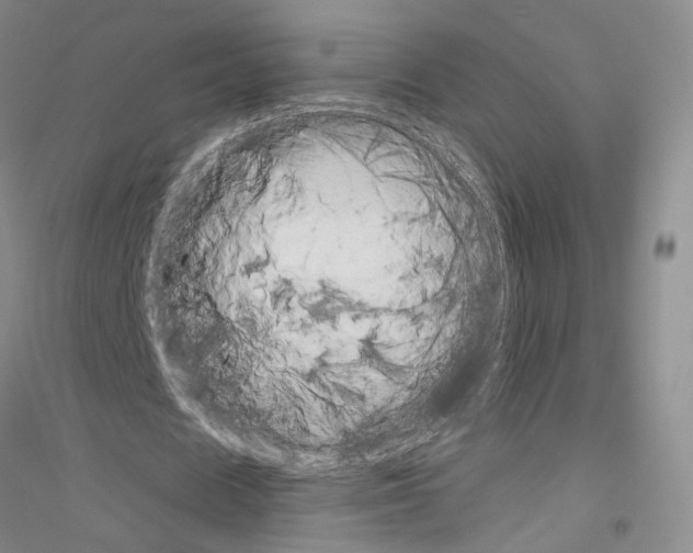 X0000116860625201002021107