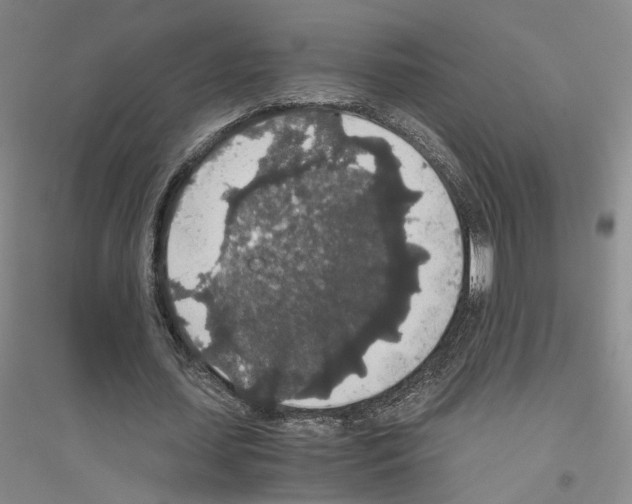 X0000116860627201002021107