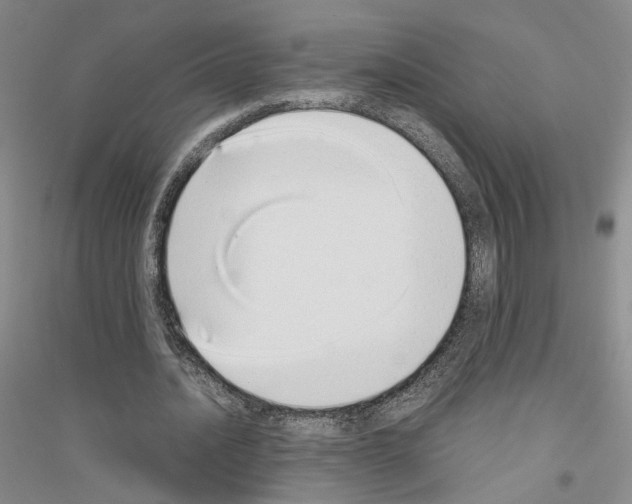 X0000116860628201002021107