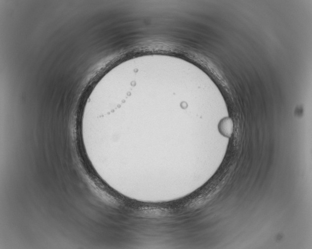 X0000116860629201002021107