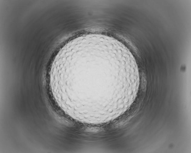 X0000116860631201002021107