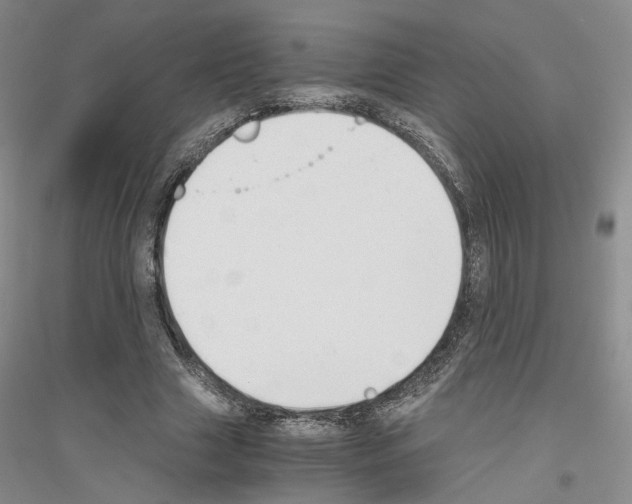 X0000116860633201002021107