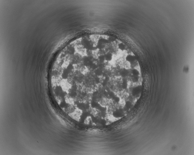 X0000116860634201002021107