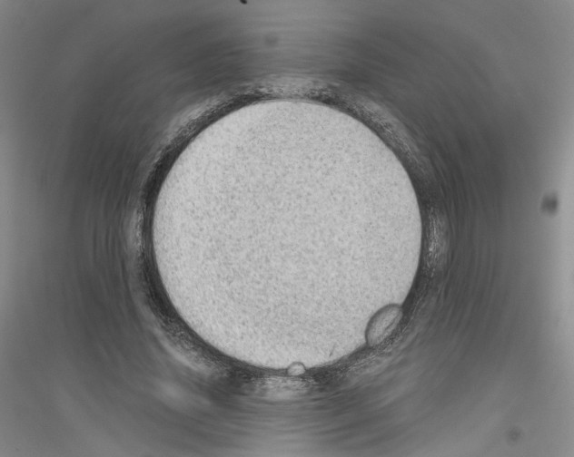 X0000116860636201002021107