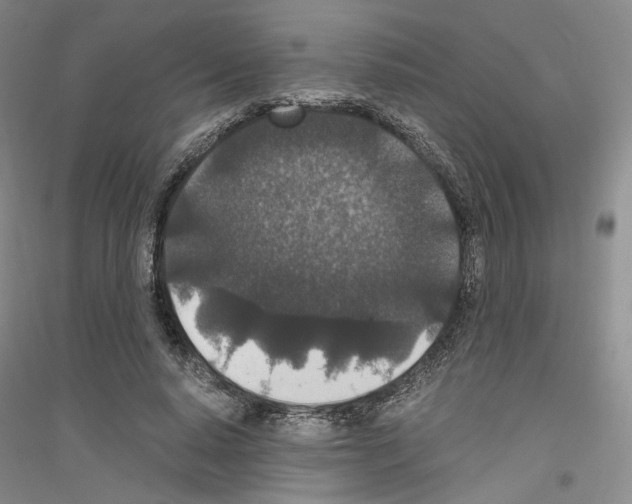 X0000116860640201002021107