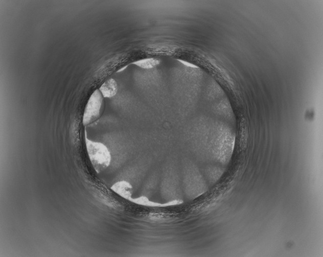 X0000116860641201002021107