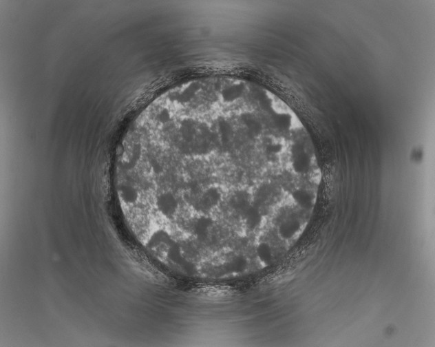 X0000116860642201002021107