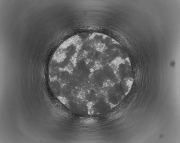 X0000116860643201002021107